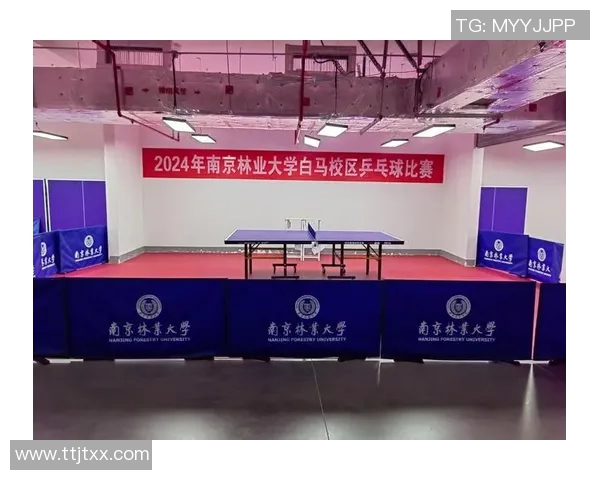 南京乒乓球队夺冠之路最新比赛经验分享TOP10